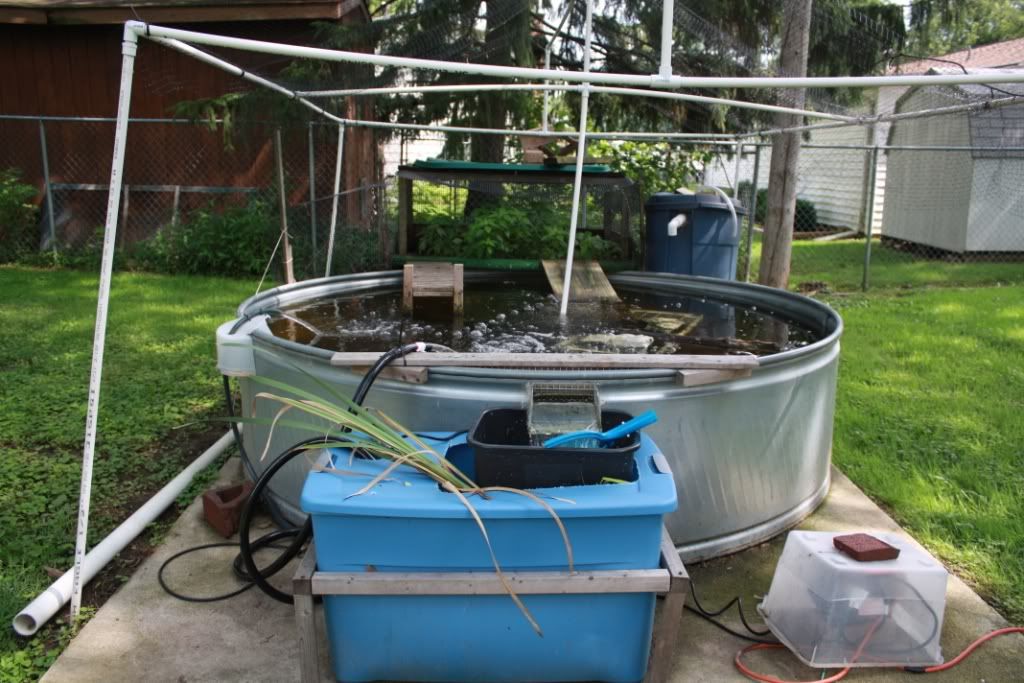 8Foot Diameter Stock Tank Pond Habitats and Equipment Turtle Forum